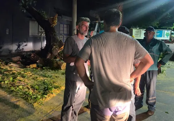 Ulpiano Suárez - tormenta1