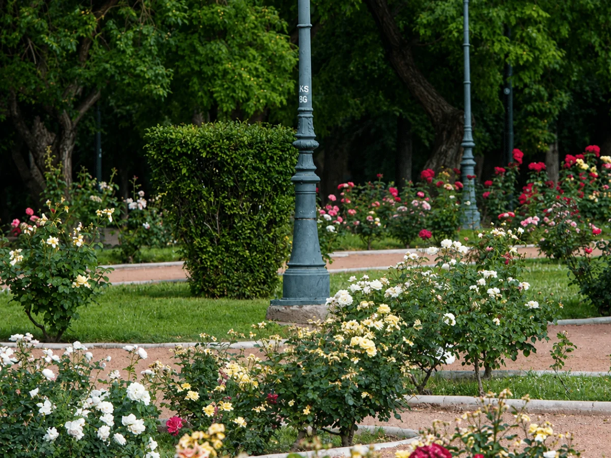Paisajes con Sabor a Mendoza En Flor 6
