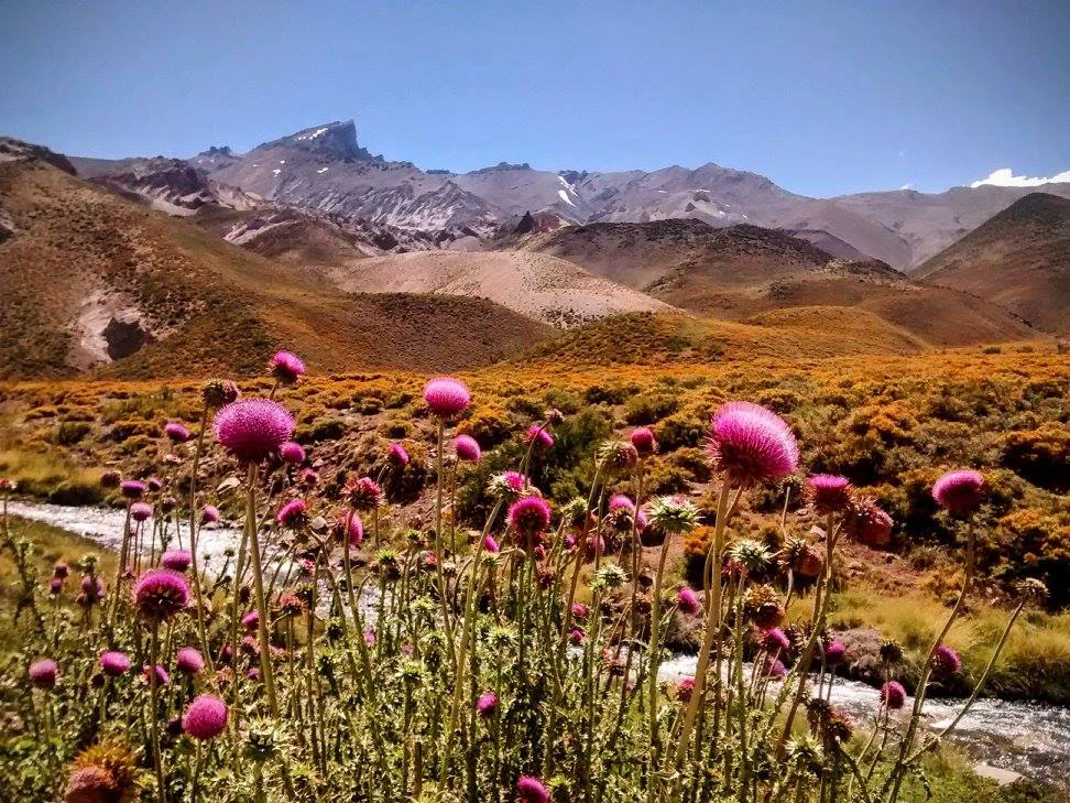 32 - Malargüe 28 - valle hermoso, las leñas 2