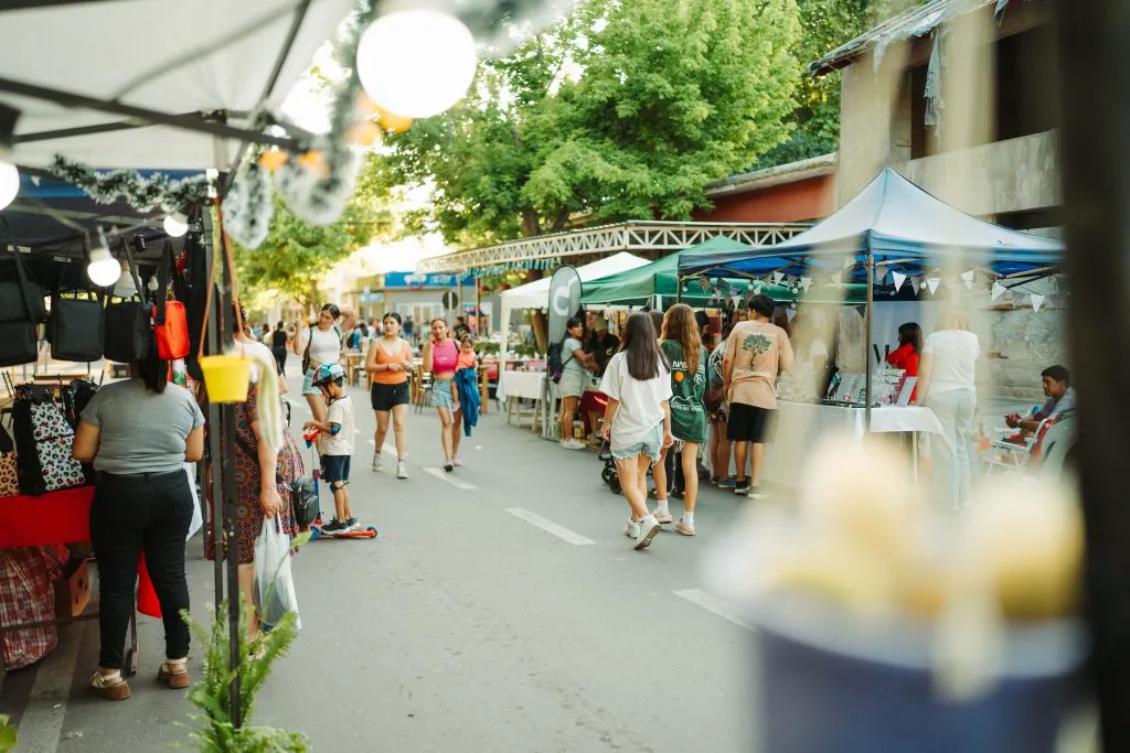 Paseo Peatonal Tupungato 4