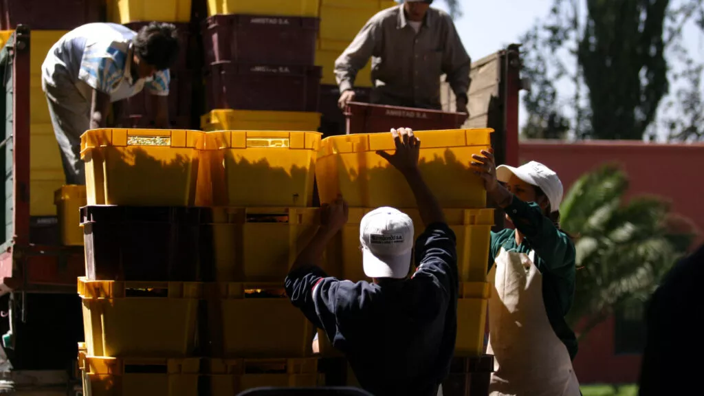 Empleos vitivinicultura