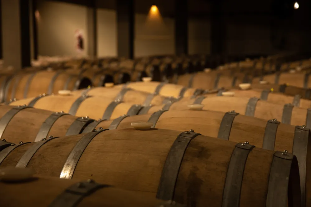 7 - Bodegas y Vinos - General Alvear (2)