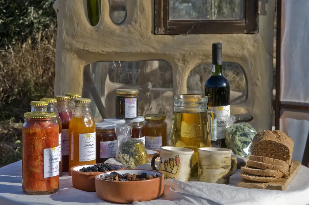 Foro Gastronómico - Productos-Biodinamicos-COSMOS
