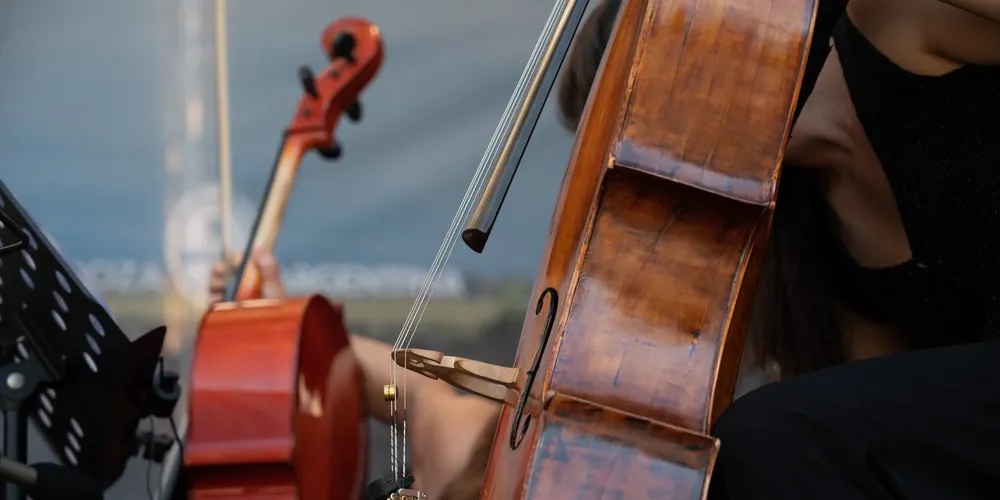 Música clásica por los caminos del vino