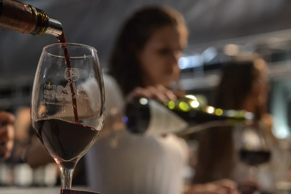 Ciudad - peatonal del vino 1