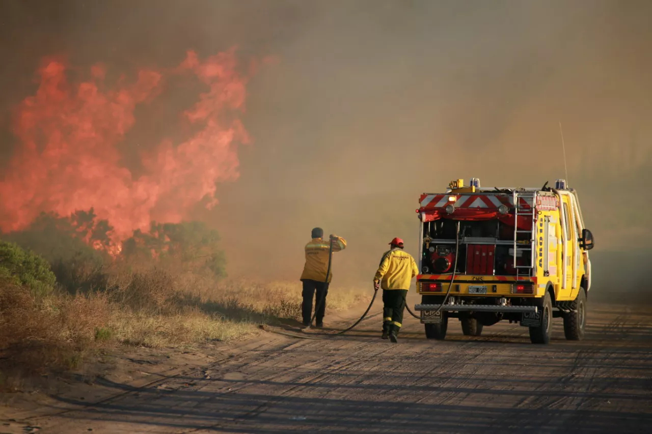 Incendio forestal