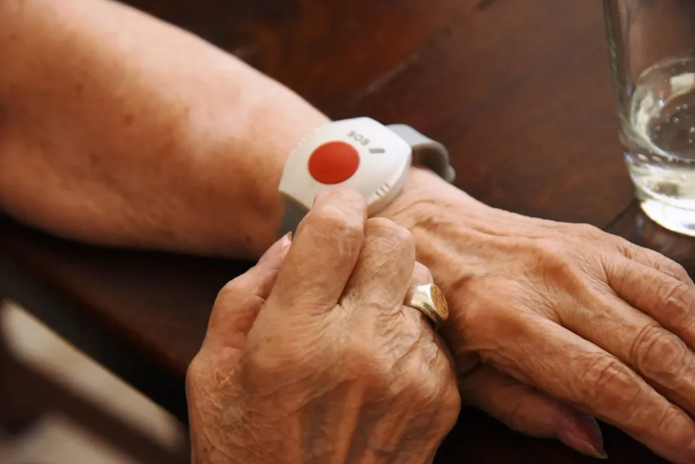 Guaymallén - botón de pánico 2