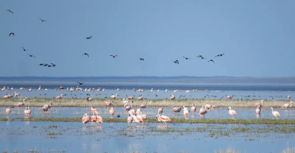 1 - llancanelo 7 muni malargue