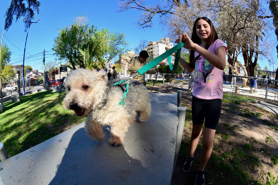 Godoy Cruz - plaza canina