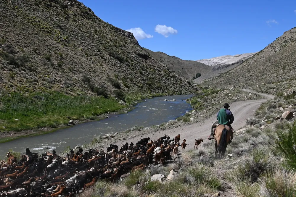 Malargüe - veranada 1