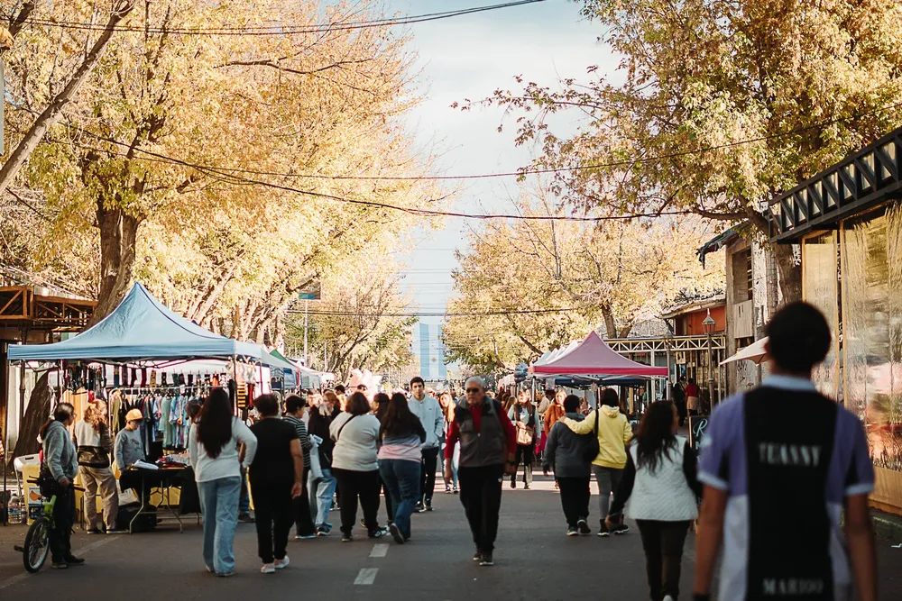 Tupungato - Festival de la Nuez y de los Vinos de Altura 16