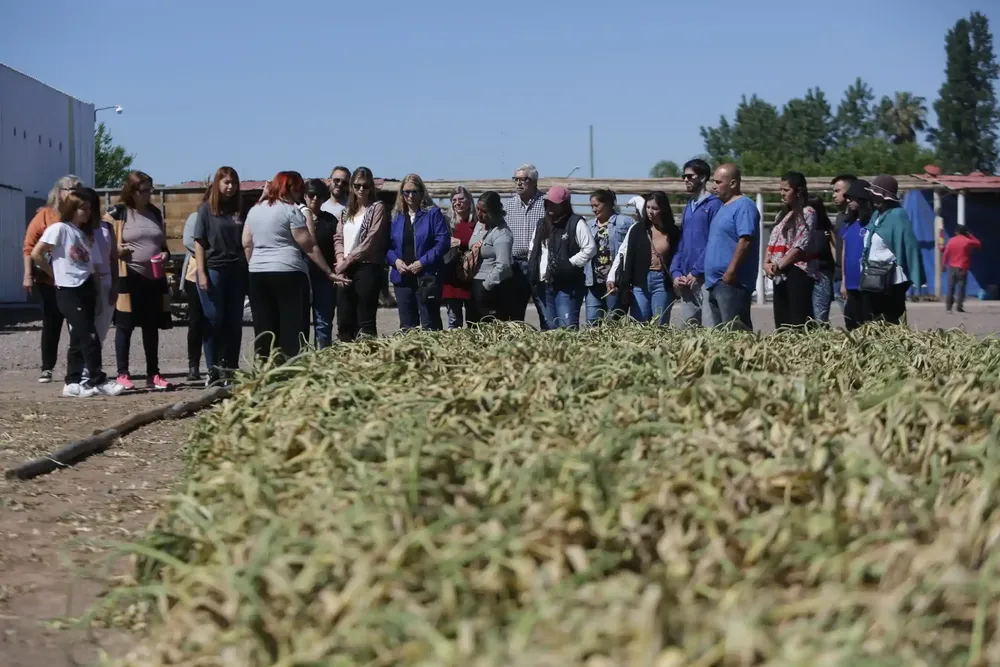 Bus-tour-4-de-noviembre-3-2048x1365