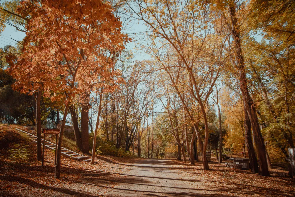 Tupungato - Vacaciones de Invierno 5