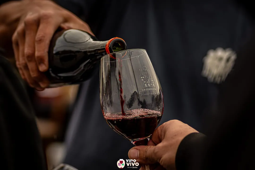 San Carlos - Vino Vivo 1