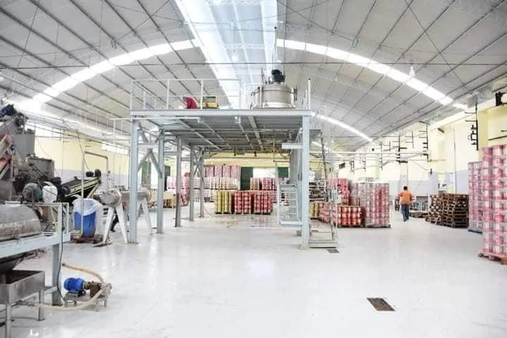 ex fábrica Lanín en Las Catitas 1