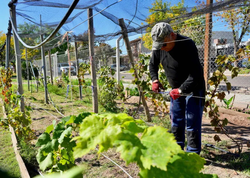 presupuesto participativo - Huerta-batalla-del-Pilar2