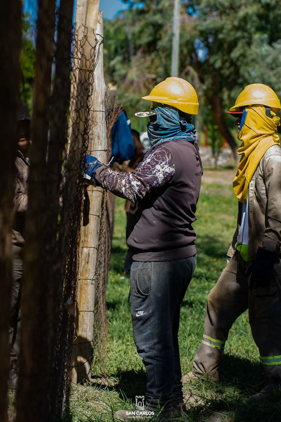 WhatsApp Image 2025-01-31 at 9.17.46 AM (2)