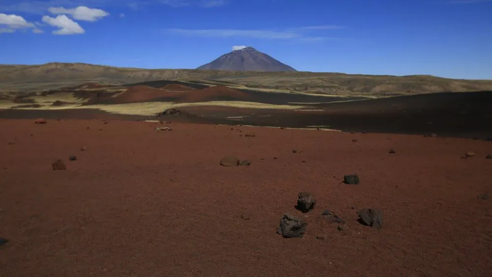 4 - malar 4 - payunia