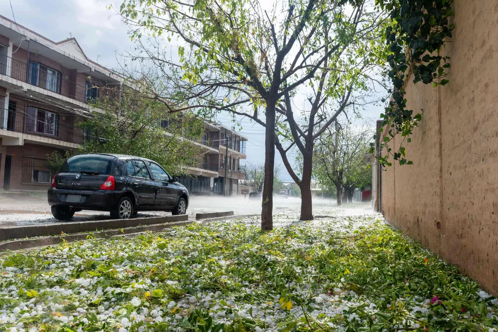 Tormenta. Foto: Emilio Diumenjo.