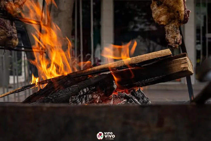 San Carlos - Vino Vivo 2