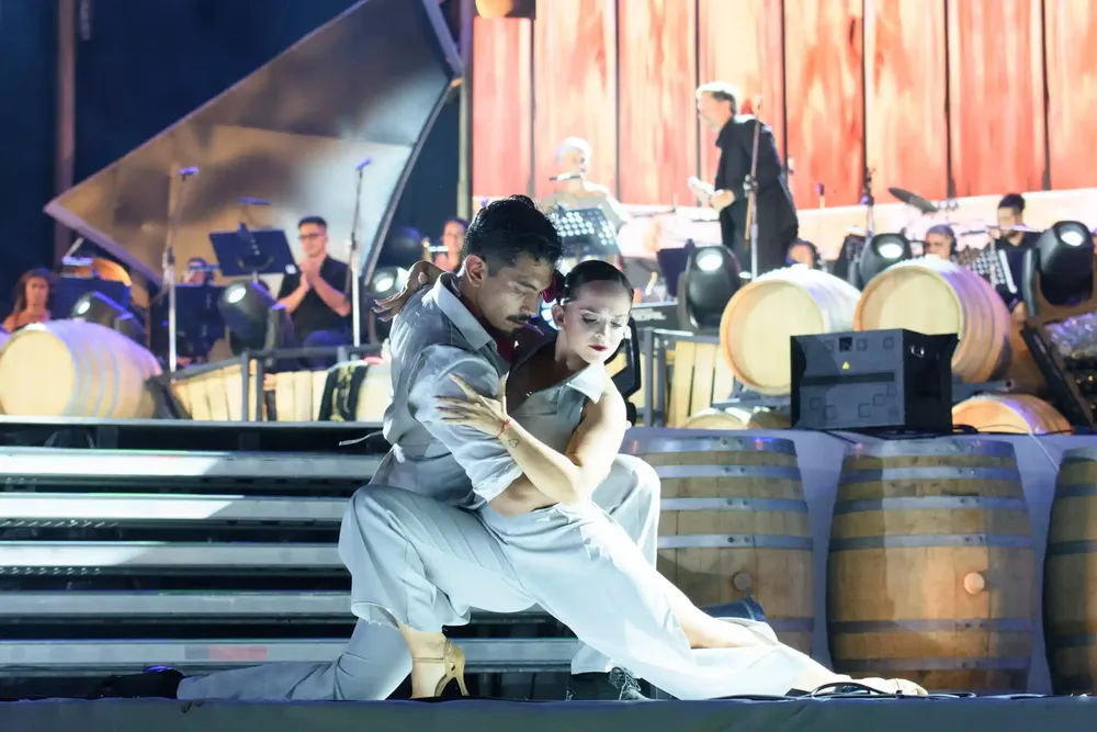 Vendimia Ciudad 2025 (2)