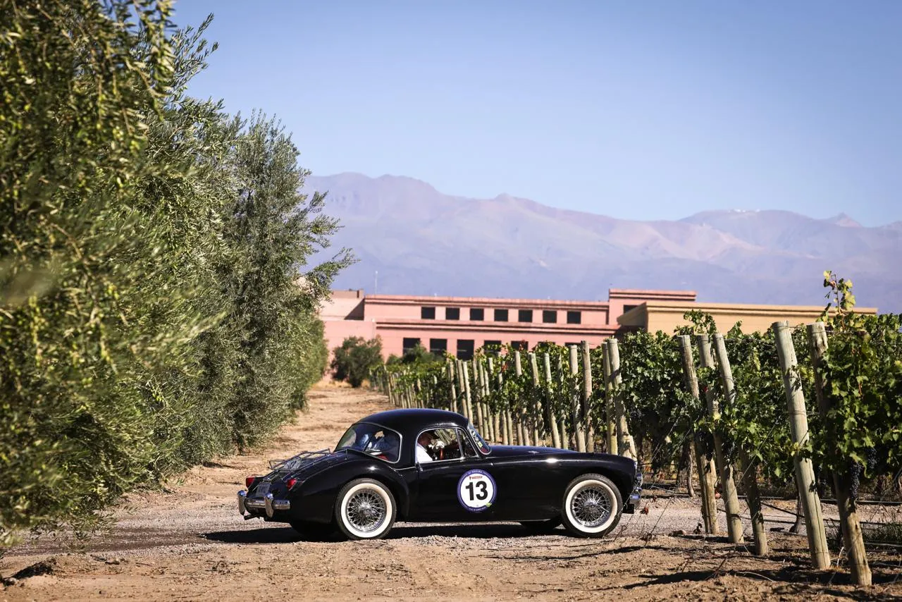 Rally de las Bodegas 2