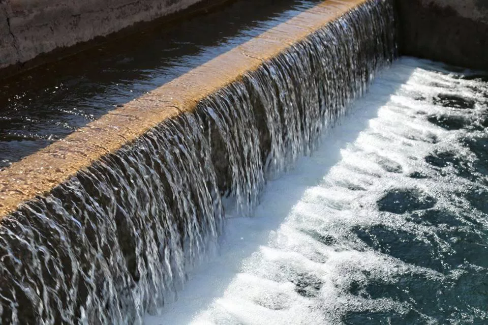 Planta-Aguas-Lujan
