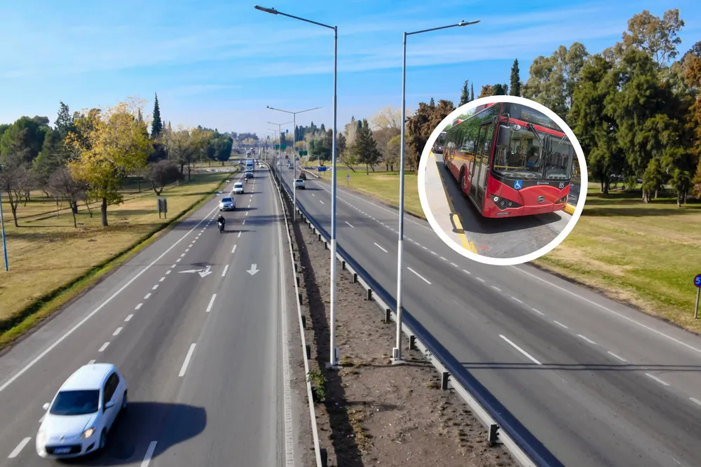 Colectivos acceso este