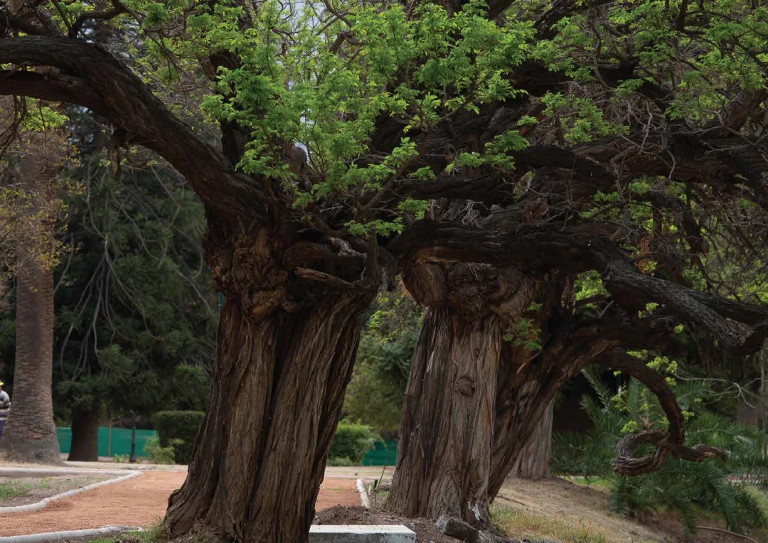 Parque San Martín 5