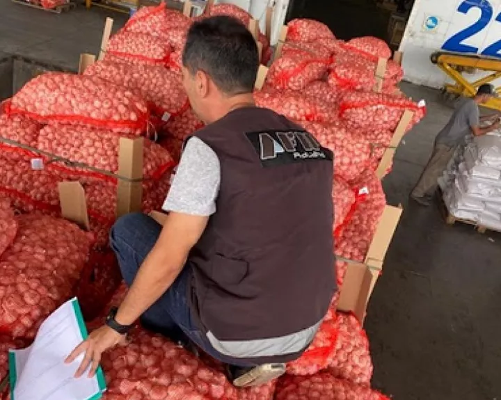 Empresa exportadora de ajo 