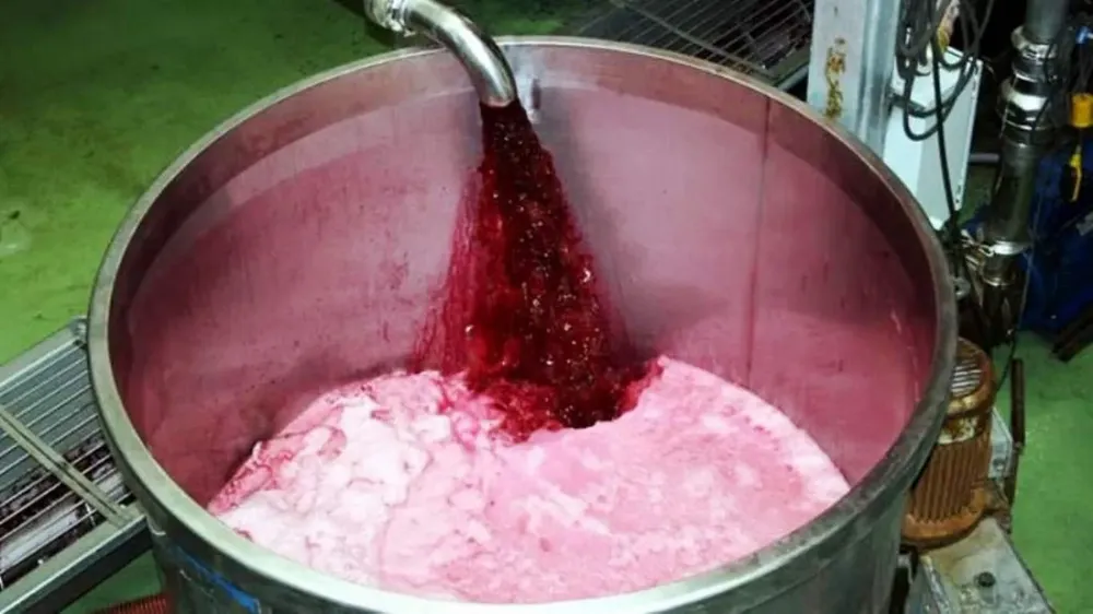 vino a granel 1 prensa gobierno