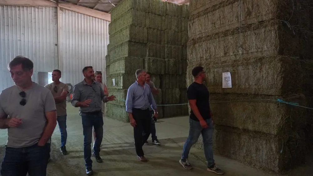 Alvear - 5 - Plan Alfalfa-19