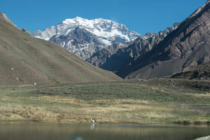 Parque Aconcagua 3