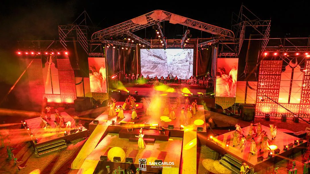 San Carlos - vendimia 2026 11