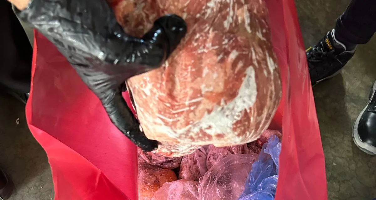 Carne decomisada 1