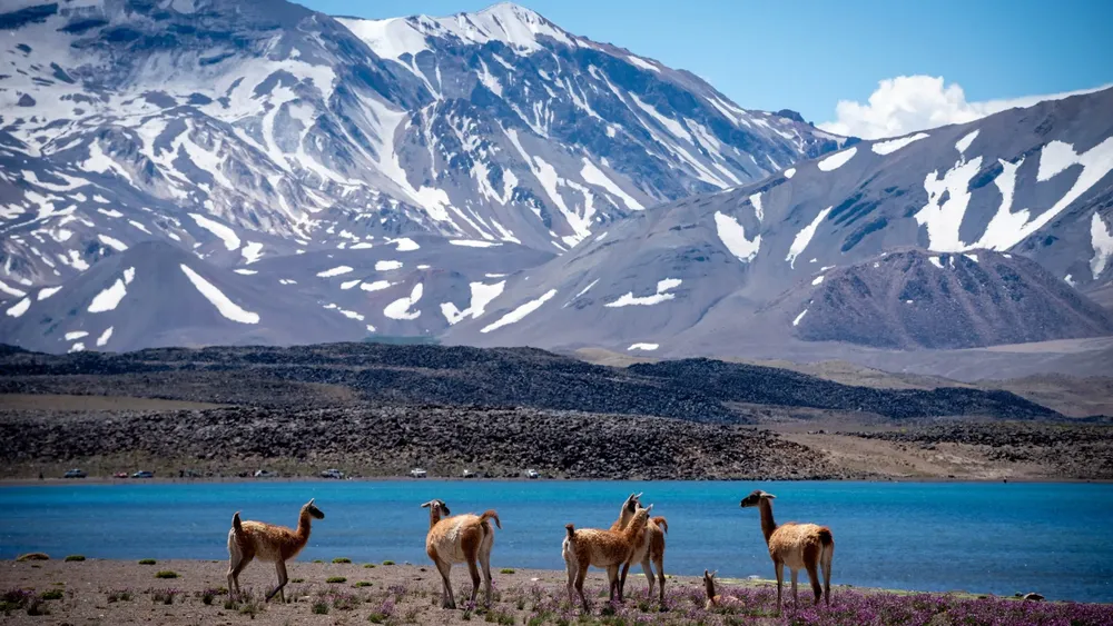 Laguna del Diamante 20