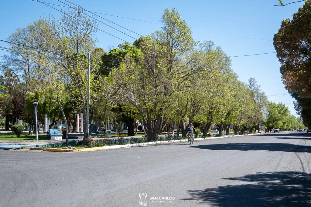 San Carlos asfalto 1