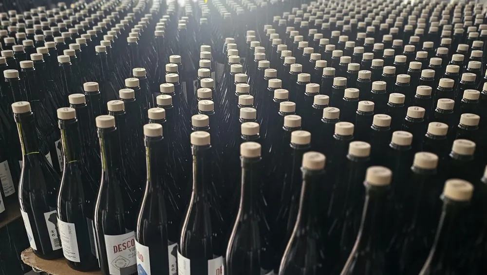 Vermut mendocino 1
