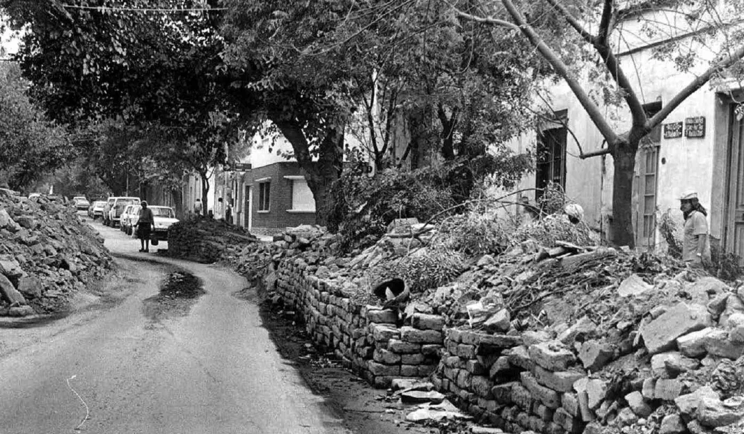 Terremoto 1985
