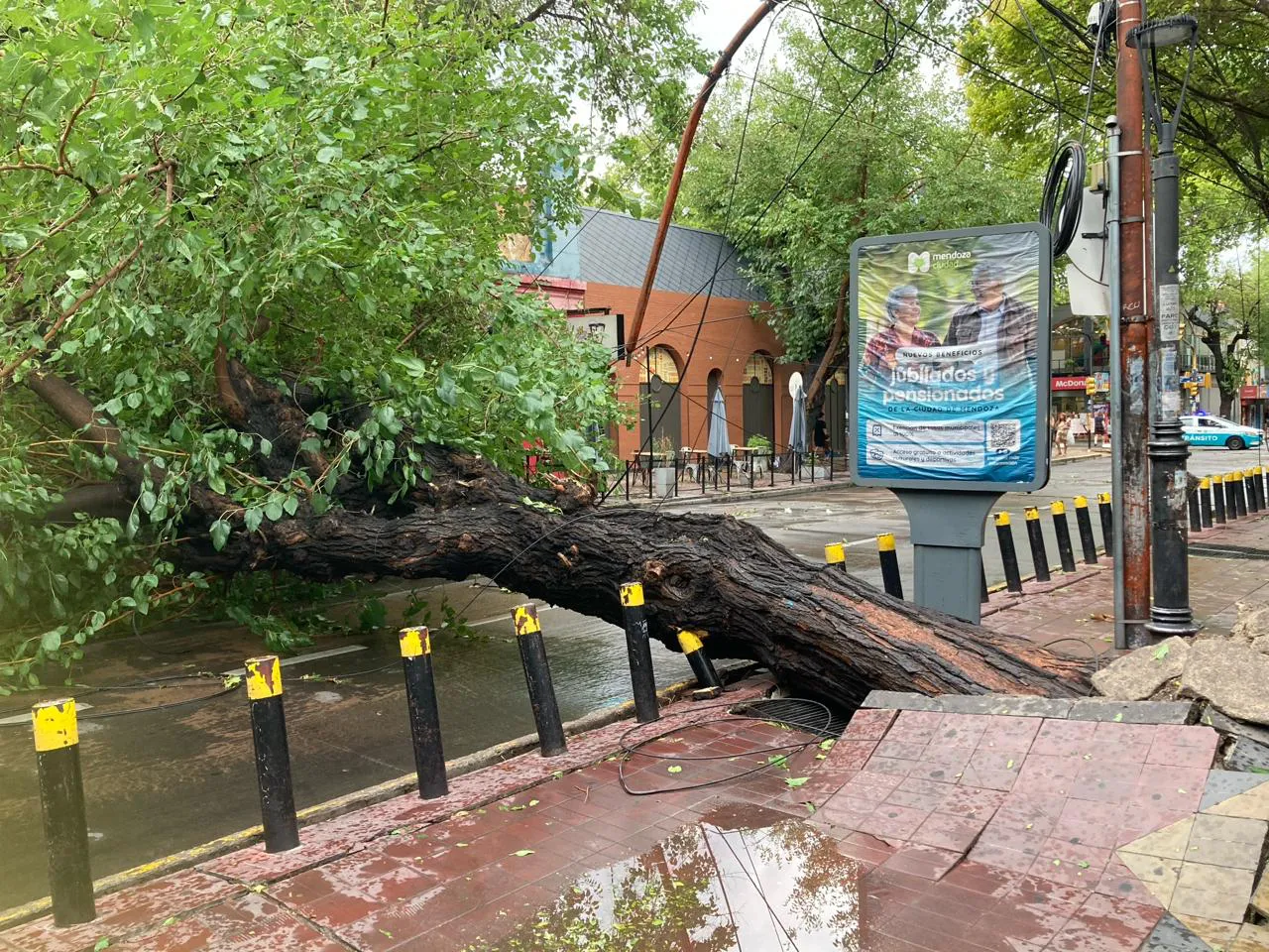 Tormenta 30 de enero