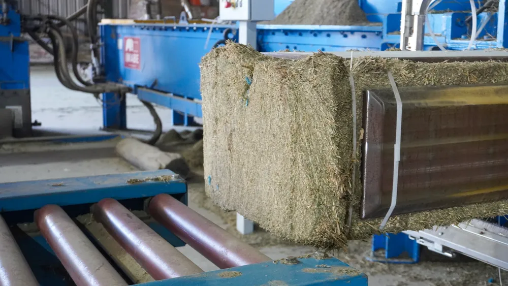 Alvear - 3 - Plan Alfalfa-12