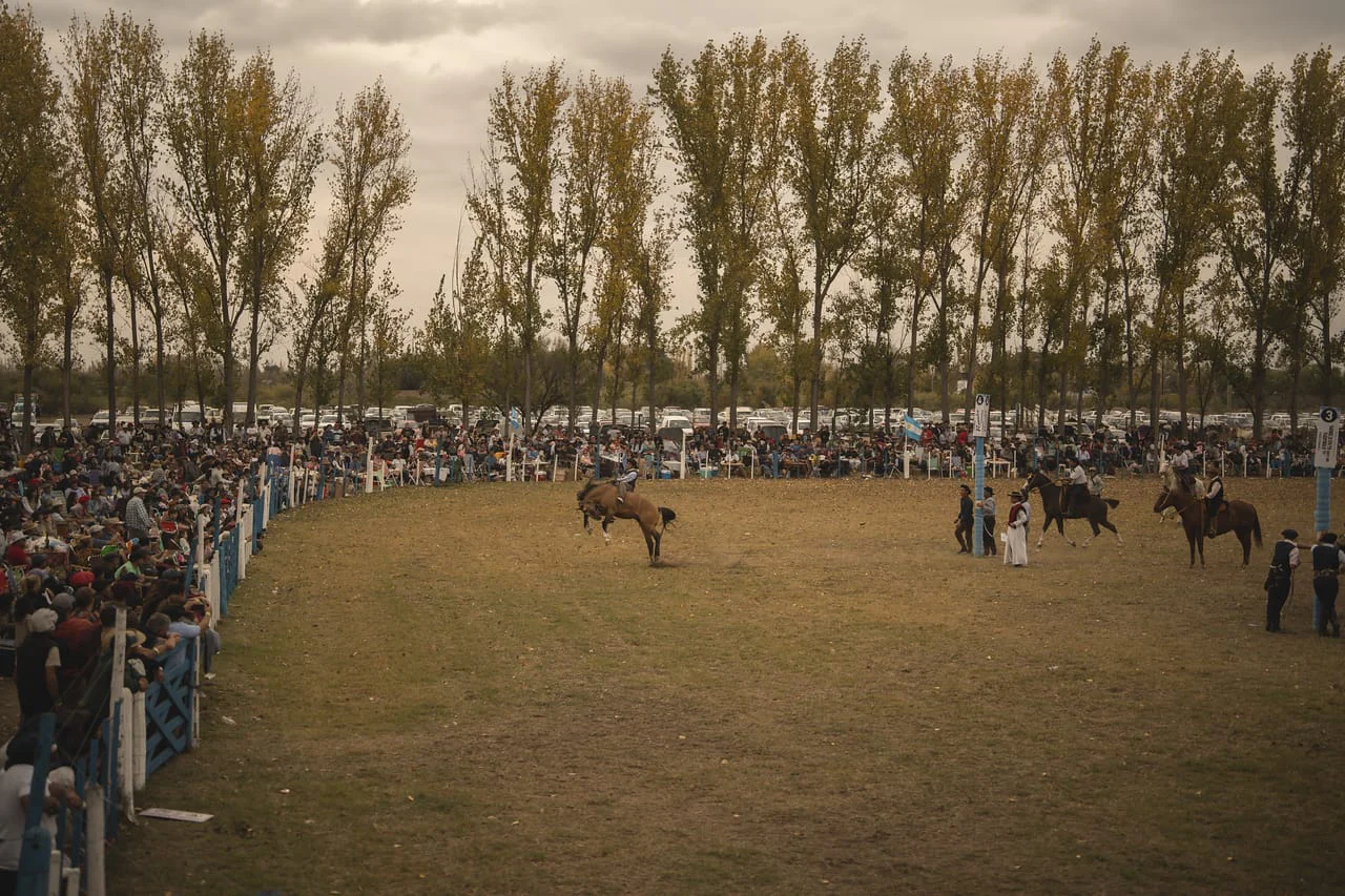 Ganadería 7