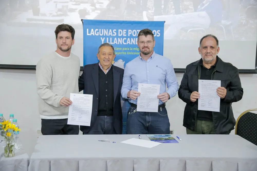 Humedal llancanello firma