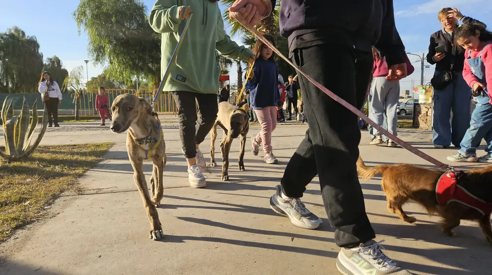 Feria Mascotas 2 Las Heras
