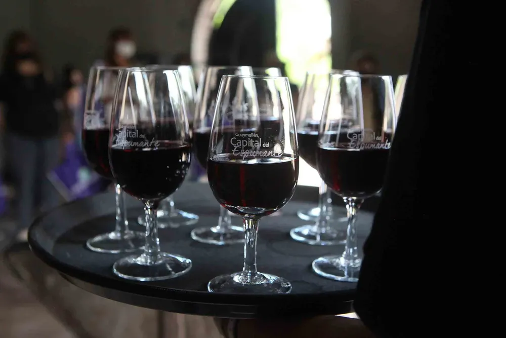 Bus-tour-descubriendo-Guaymallen-6-2048x1367