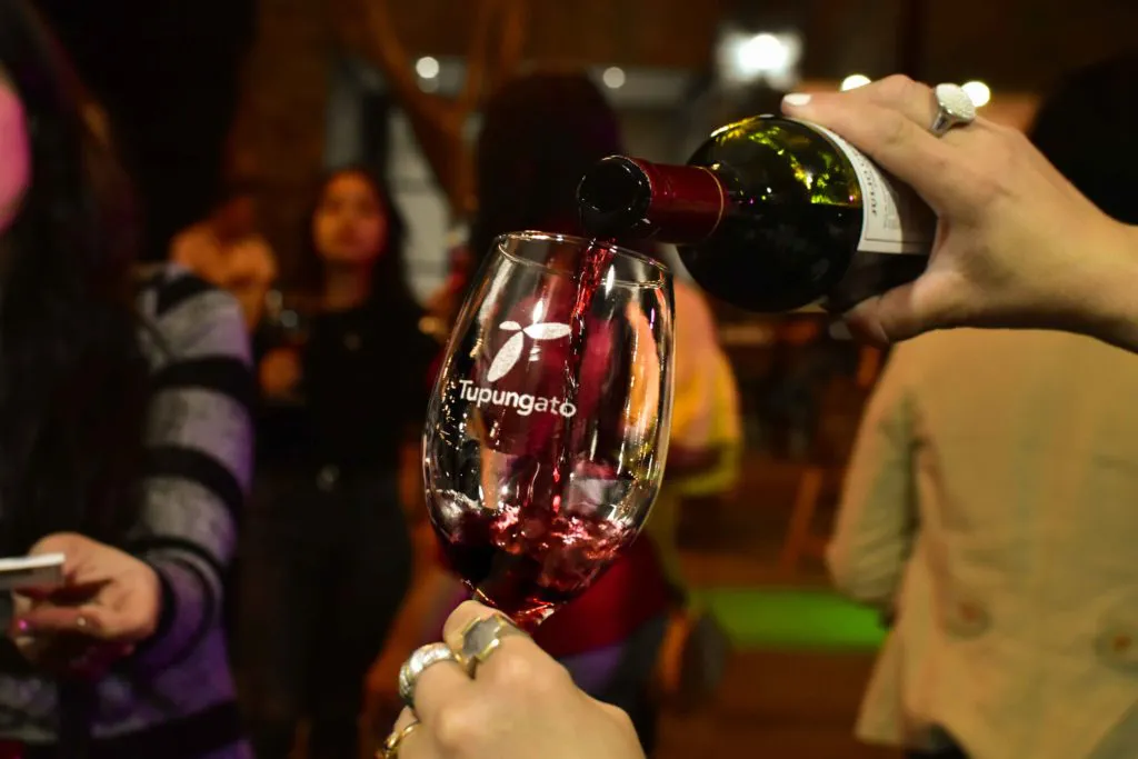 Tupungato - vinos de altura