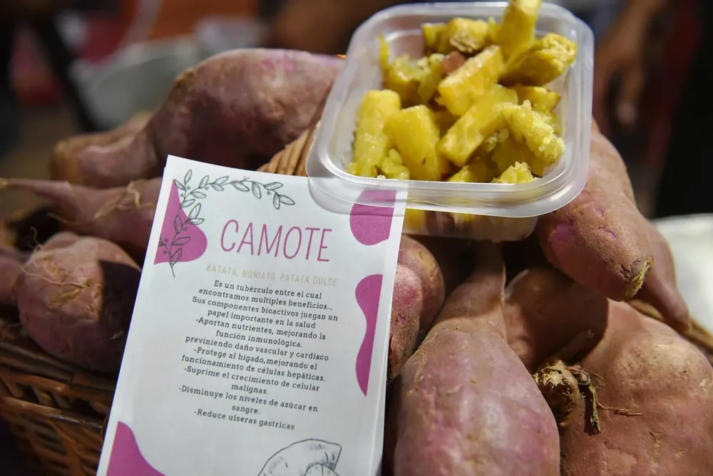 Festival-Provincial-del-Camote-2023-(7)