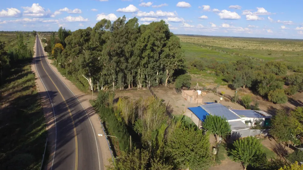 San Rafael - renovación de la Ruta Provincial 160 - 1