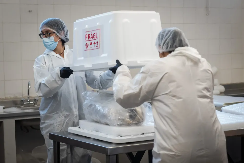 Traslado de la ofrenda del niño del Aconcagua (1)