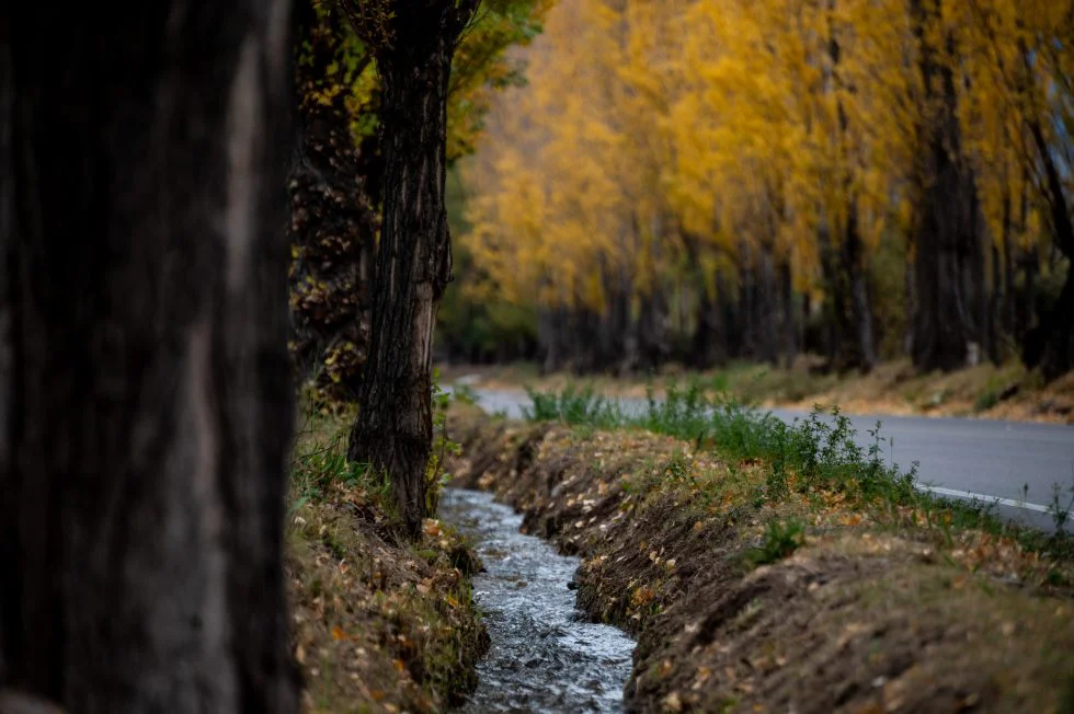 Otoño en Mendoza 9